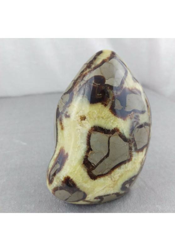 Paperweight in Septarian 870g Home Special Crystal Healing Stone Crystal Healing−3