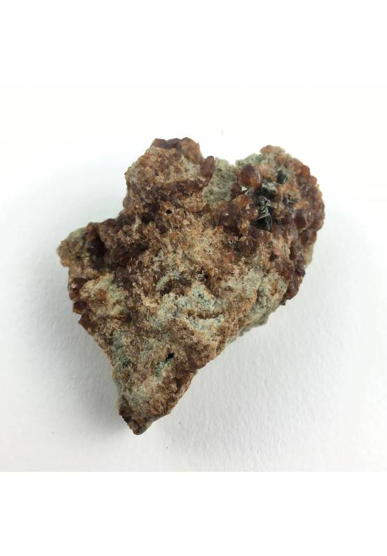 * Historical Minerals * Garnet Crystals on Matrix Cengia del Cavallo - ITALY-1