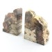BIG Bookends Slice of  FOSSIL wood Silicified EXTRA Quality-1