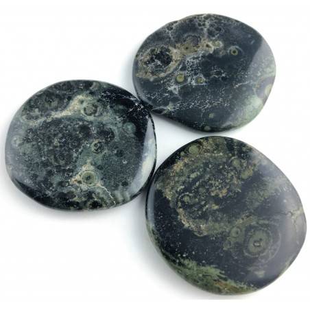 Palmstone in Kambaba Jasper Tumbled Stone Palmstone Massage Crystal Healing Chakra-1