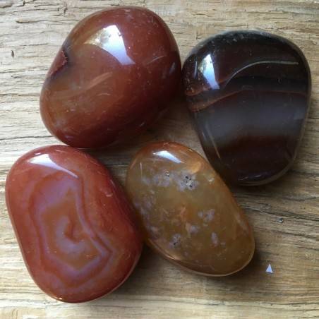 Tumbled CARNELIAN AGATE GIANT First Quality MINERALS Crystal Healing Chakra A+-1