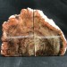 MINERALS * Rare Petrified WOOD Fossil Bookends Paperweight High Quality Specimen A+−3