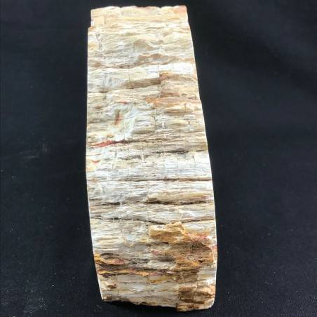MINERALS * Rare Petrified WOOD Fossil Bookends Paperweight High Quality Specimen A+-6