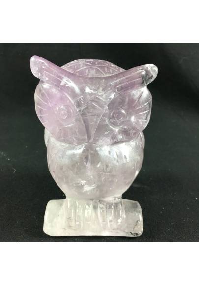 Owl in AMETHYST GIANT 613g OWL Crystal Healing MINERALS Chakra Gift Idea A+-1
