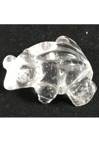 Frog in Hyaline Quartz Rock CRYSTAL ANIMALS in Stone MINERALS Chakra A+-1