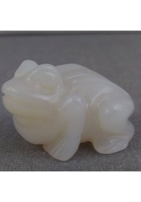 Frog in QUARTZ Opale ANIMALS Rospo MINERALS Chakra Buddha Lucky Stone Gift Idea A+-1